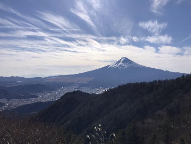 冬らしくすっきりとした富士山