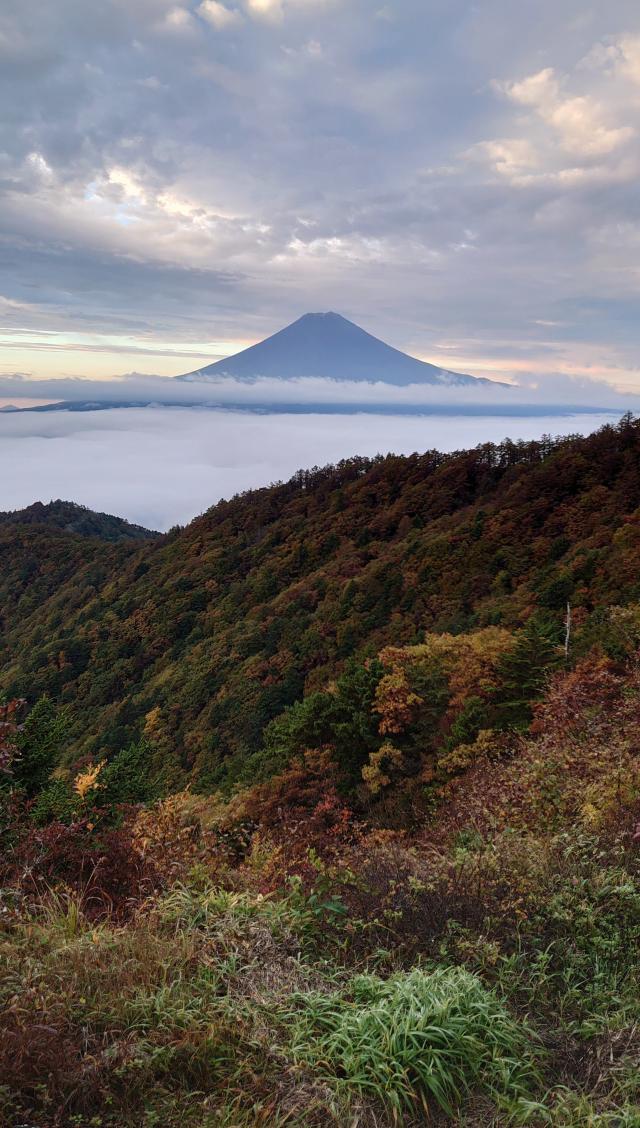 富士山と紅葉(2020.10.16　三つ峠山荘)