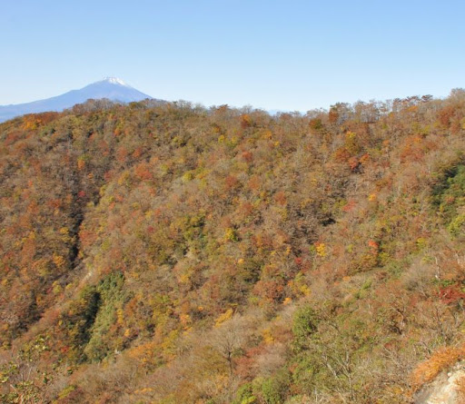 鍋割山稜と富士山（花立山荘上部より）