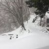 小屋周辺の積雪状況