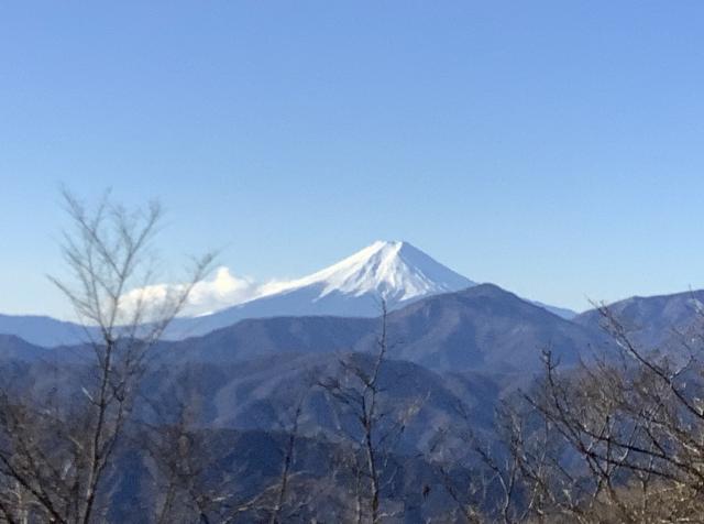 富士山がクッキリ見えています