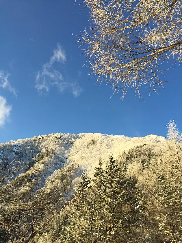 12月11日朝　第二小屋前から見上げる八合目・九合目方面の樹氷がとても美しく、思わず見とれてしまいました！