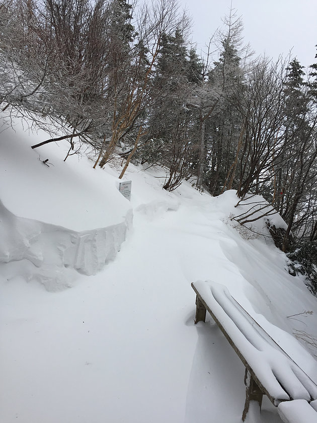 今朝の小屋前の様子。昨夜のうちに小屋前の積雪量もさらに15cm程増え、今日も一日雪かきが主な仕事になりそうです。