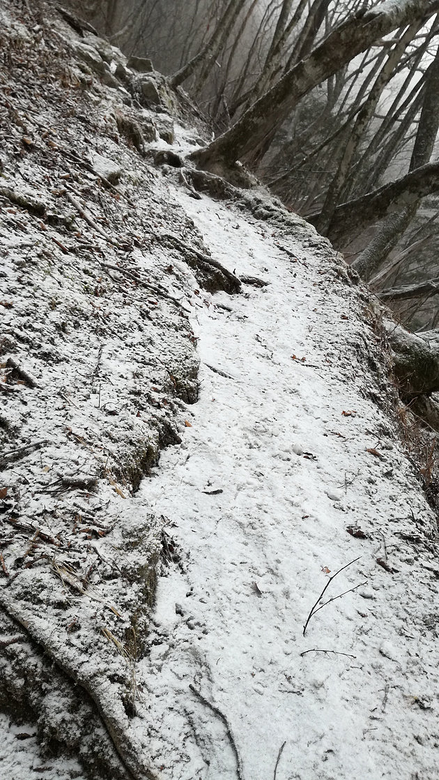 五日前にはあった積雪が消えていた尾白渓谷駐車場から小一時間登ると凍結した道の上にうっすら雪が乗っている状態に。