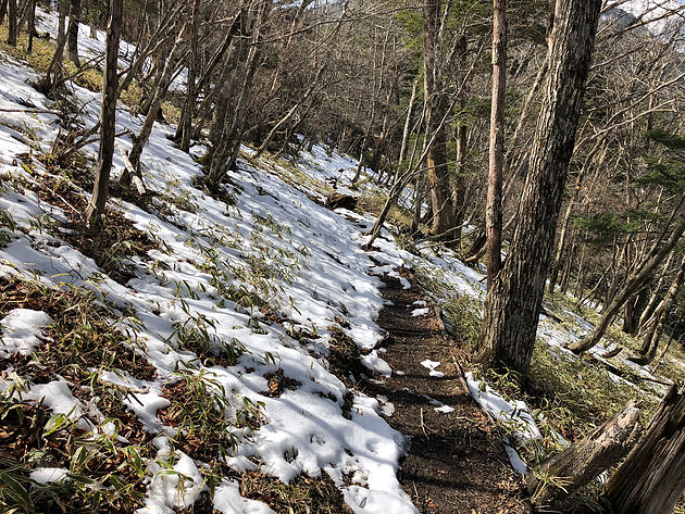 笹の平の先から雪が出てきますが、八丁坂の途中までは雪面と地面が交互に展開して、非常に歩きにくいです。