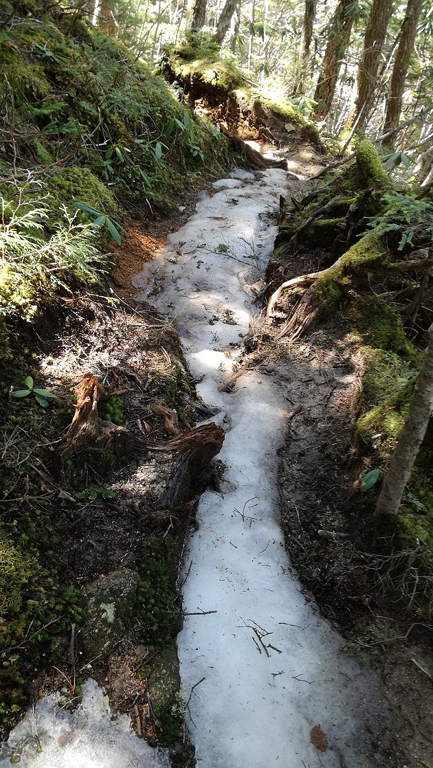 黒戸尾根　刃渡りを過ぎると北面の道は凍結してました。