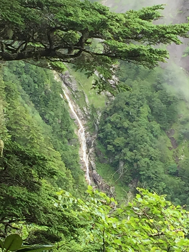 登山道から見えた黄蓮谷。今週の雨で水量も多めになっていました。