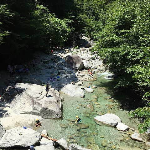 暑い麓の尾白川渓谷では水遊びの家族連れやキャンパーで大賑わいです