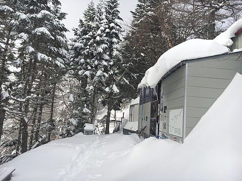 七丈小屋周辺では昨日の夕方から今日の明け方まで雪となりました。今朝7時の気温は-7度。外へ出てみると久々にたっぷりの積雪