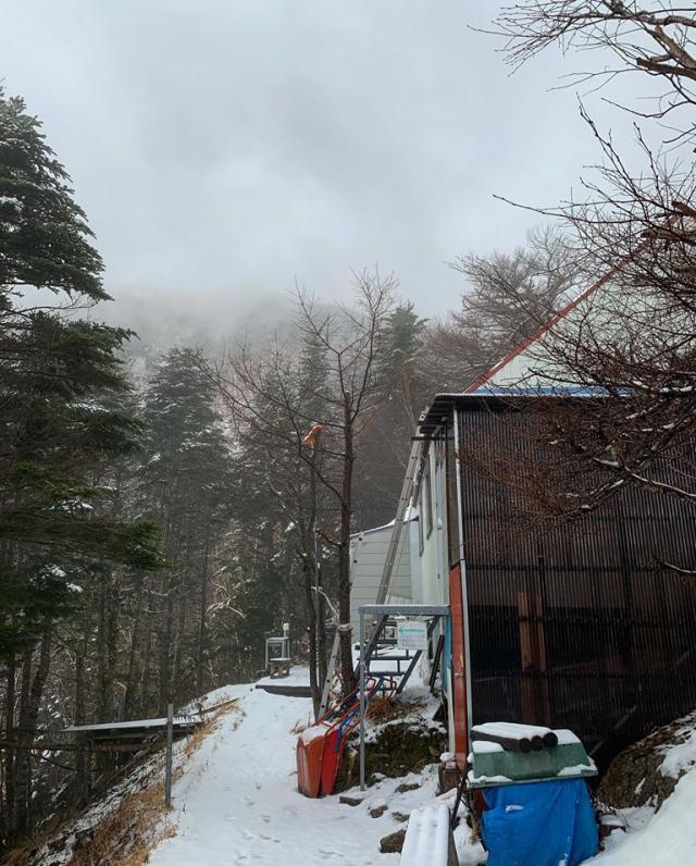 ちょうど小屋の標高付近が雪線でした。