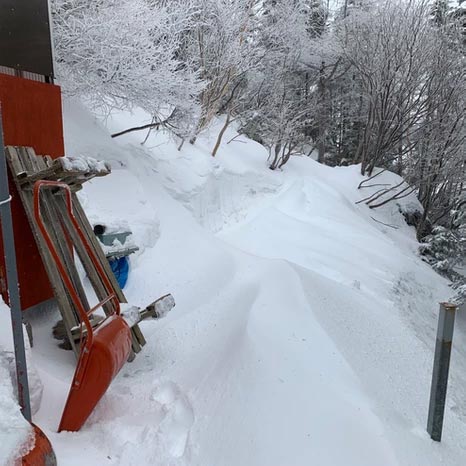 1月28日　早朝ずっしりと重たい雪が20〜30cmほど積もりました。(2020.01.31　甲斐駒ヶ岳 七丈小屋)
