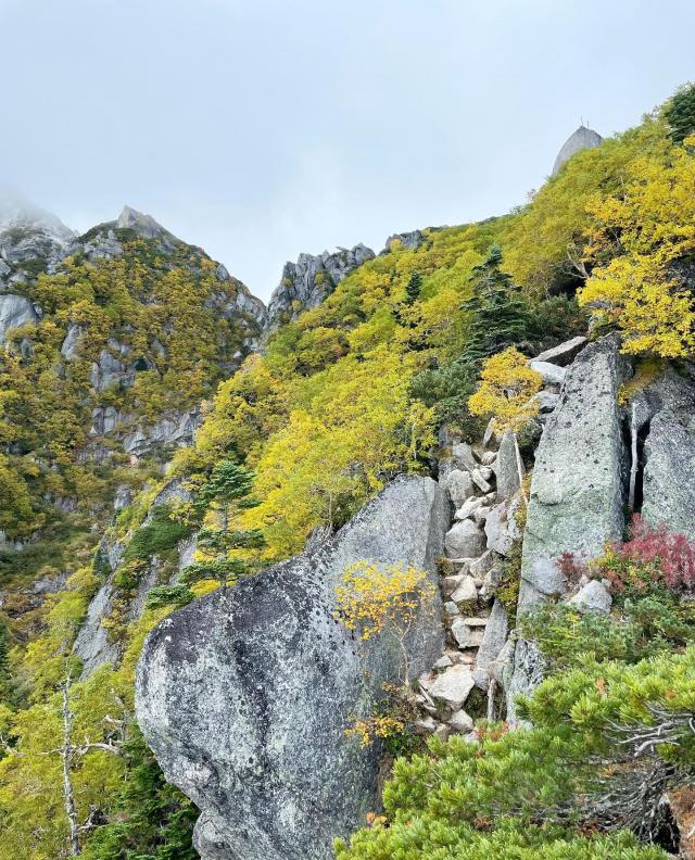 山頂付近は岩と色付いた葉のコントラストが見事です