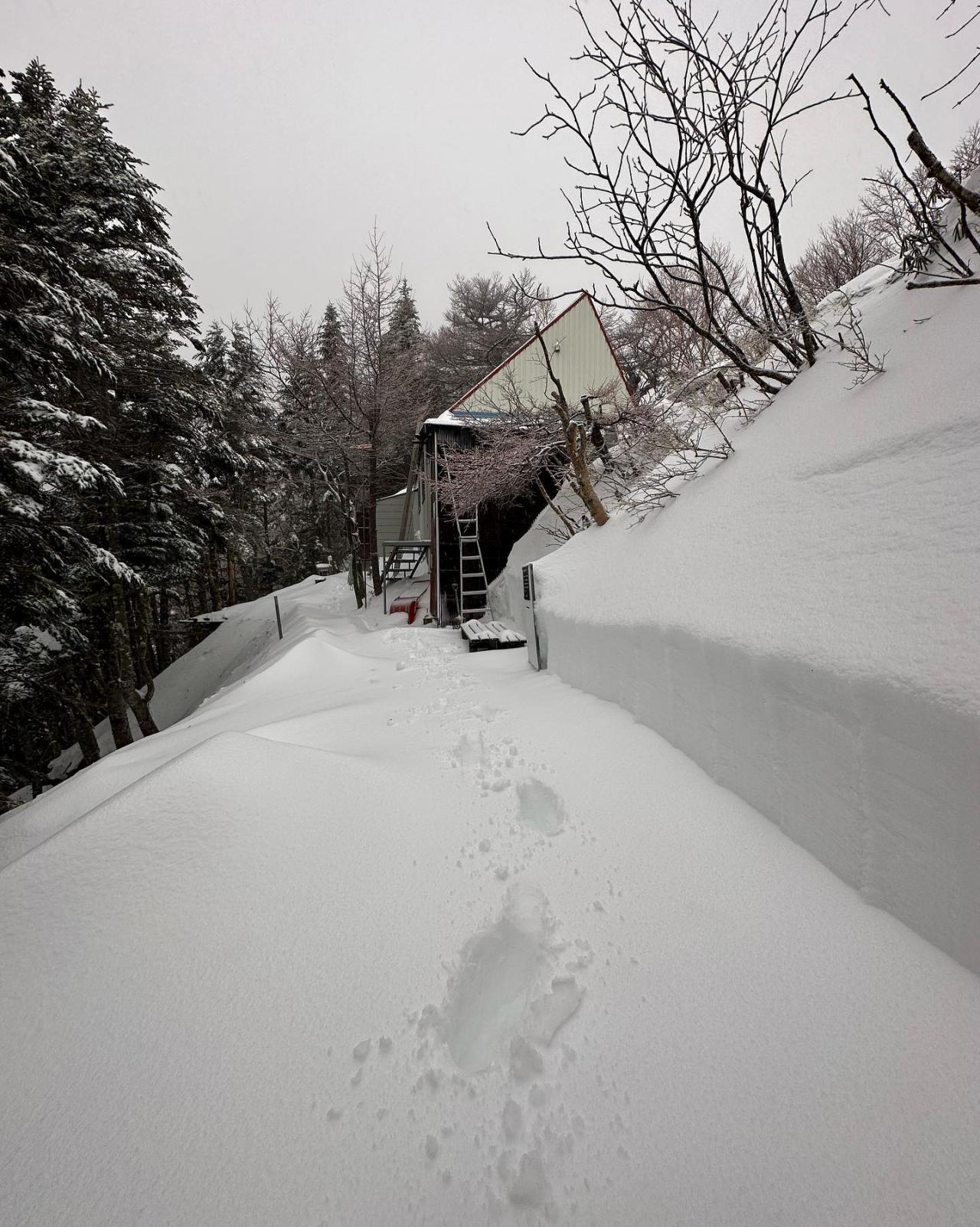 小屋前の様子　昨日の降雪が今朝は湿雪に変わりました