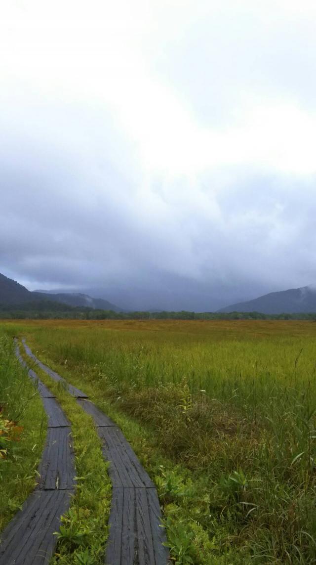 台風一過とはならず一日どんよりと雨が降っていました。尾瀬が原の草紅葉がだいぶ広がってきました。