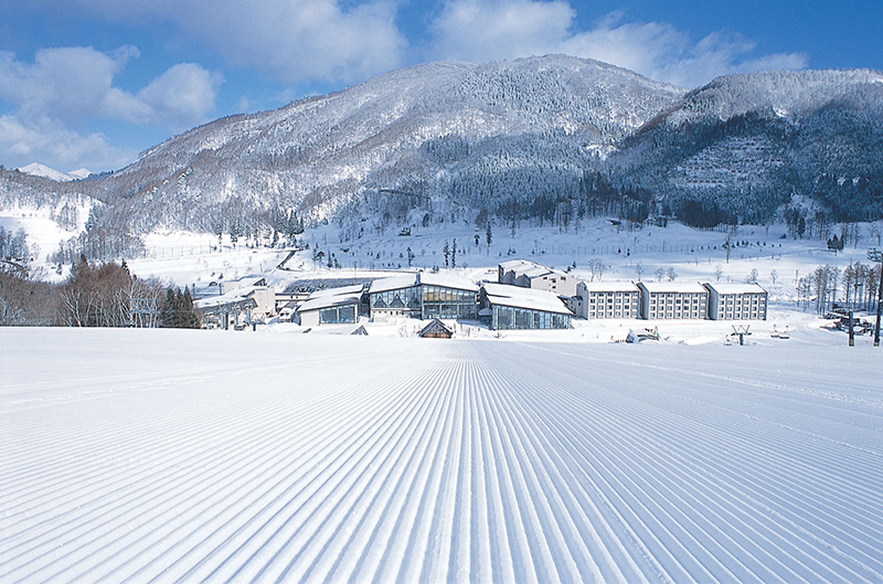 長野県内の志賀・野沢・斑尾・戸隠・竜王の23スキー場で滑走可能な