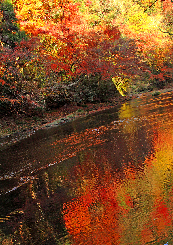 水面に映える秋色と沢音 渓谷の紅葉に癒やされるコース 今 おすすめの山 Yamakei Online