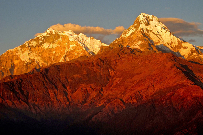 ラリーグラス咲き誇る 春のネパール トレッキング 桃源郷のような世界が広がるアンナプルナ山群 Yamaya ヤマケイオンライン 山と渓谷社