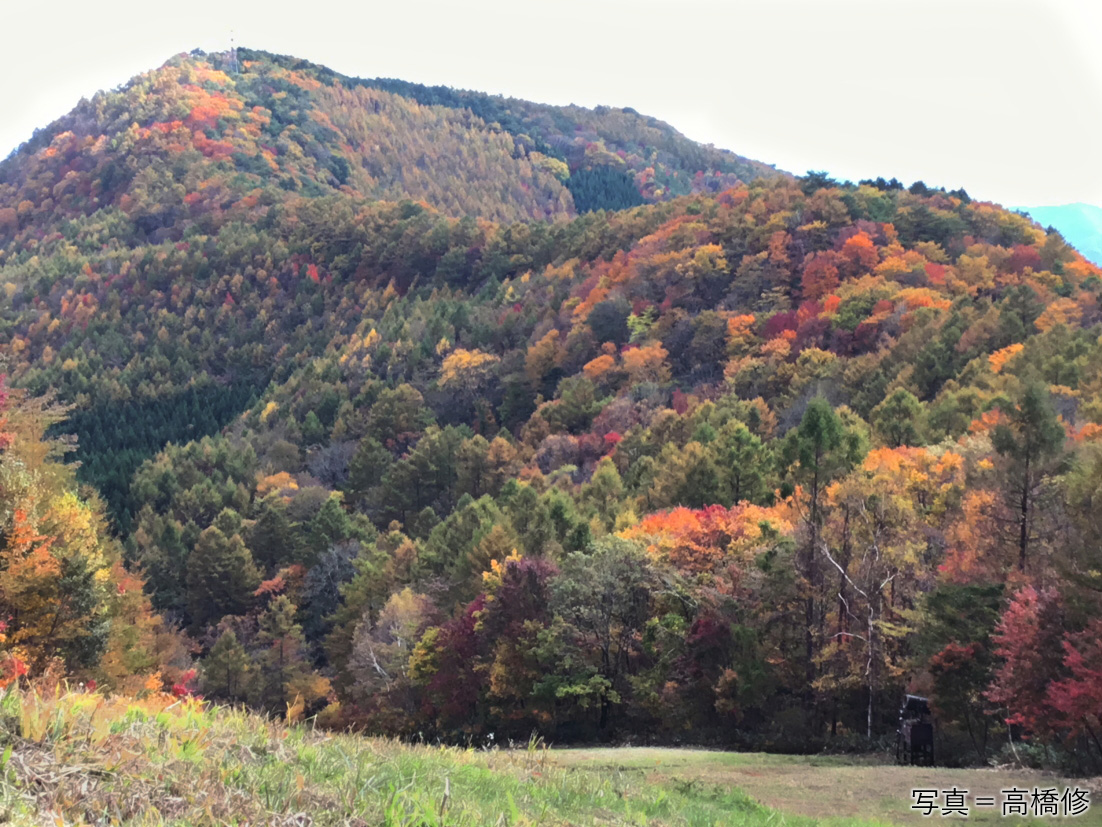 紅葉の山に行こう 多くの種の紅葉になる木が生える群馬県みなかみ市 大峰山 Yamaya ヤマケイオンライン 山と渓谷社