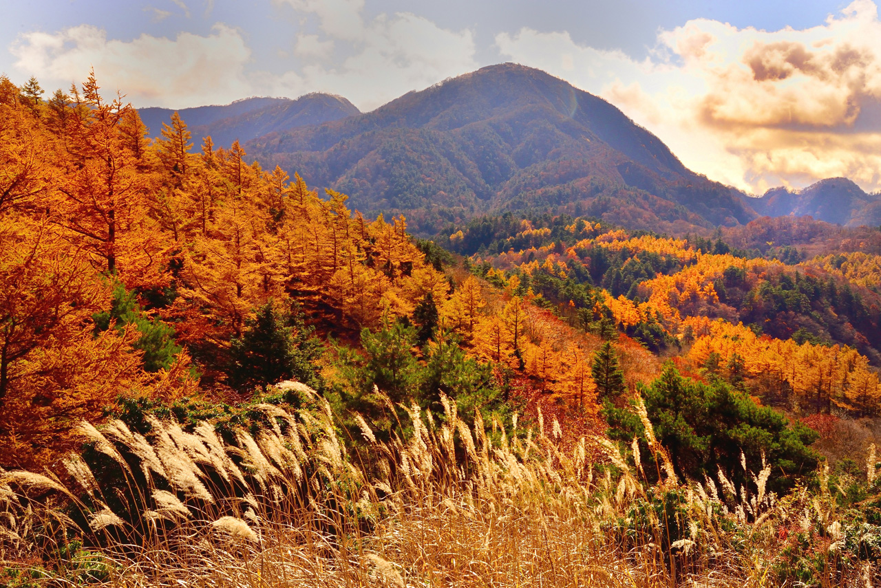 丹沢一の紅葉と展望を丹沢最高峰の蛭ヶ岳で味わい 富士山をシルエットにした落日を鑑賞する Yamaya ヤマケイオンライン 山と渓谷社