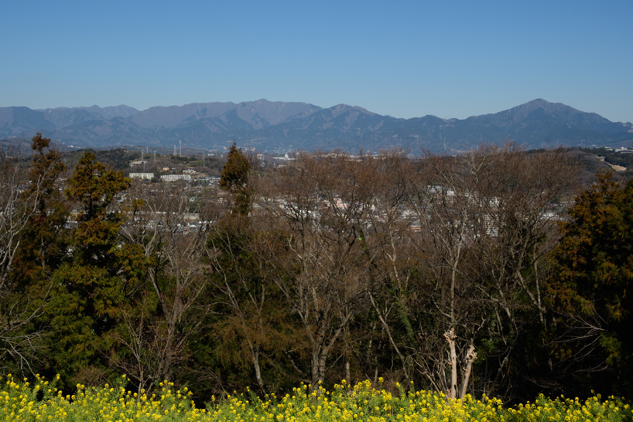 駅から歩いて菜の花に包まれた富士山を展望できる二宮吾妻山 山歩きを再開に適した展望ハイキング Yamaya ヤマケイオンライン 山と渓谷社