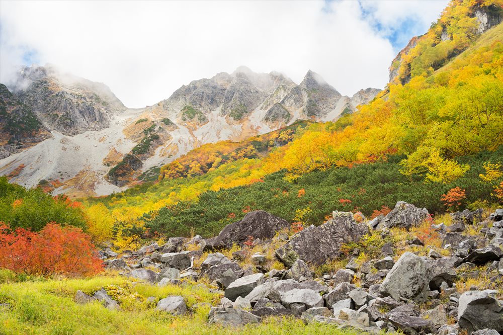 山で出会える色とりどりの紅葉 その色づきの秘密は Yamaya ヤマケイオンライン 山と渓谷社