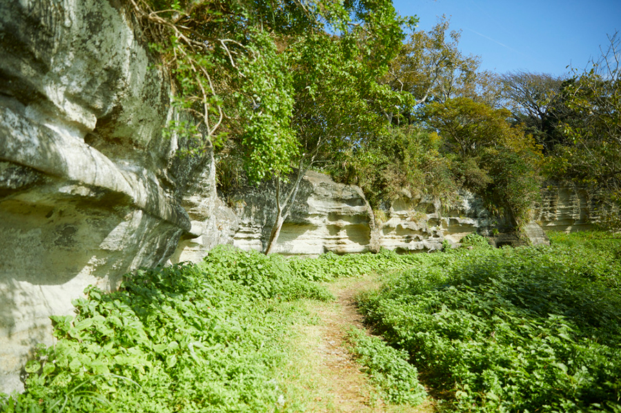 高さ3～10mの断崖が約800m続くお猿畠の大切岸。石切り場の跡といわれている