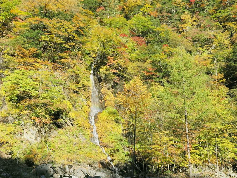 二軒小屋上流、東俣の黄葉と限られた時にしか見られない幻の滝
