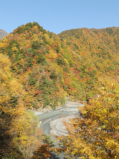 赤石沢と大井川本流の合流点、赤石渡。奥は鳥森山の山頂付近の稜線