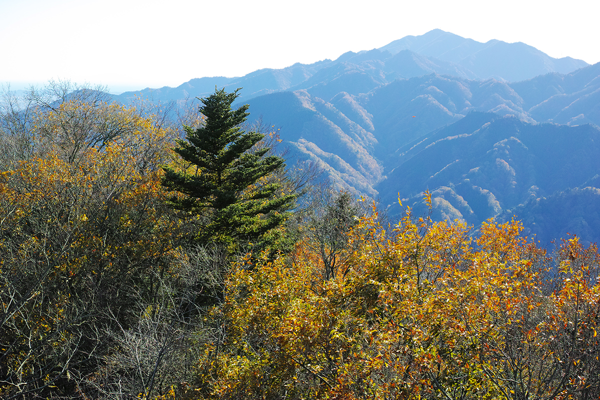 仏果山展望台からの大山