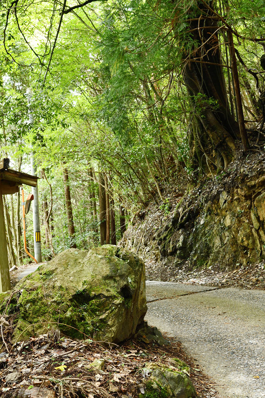 日本最後の仇討ちがあった黒石。両側の岩陰に隠れて待ち伏せしたとされる