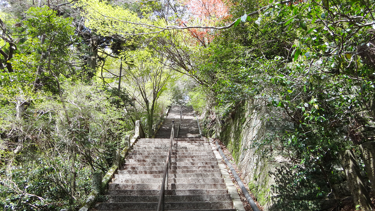 旧天上寺の境内。山門から本堂があった広場までは石段が続く