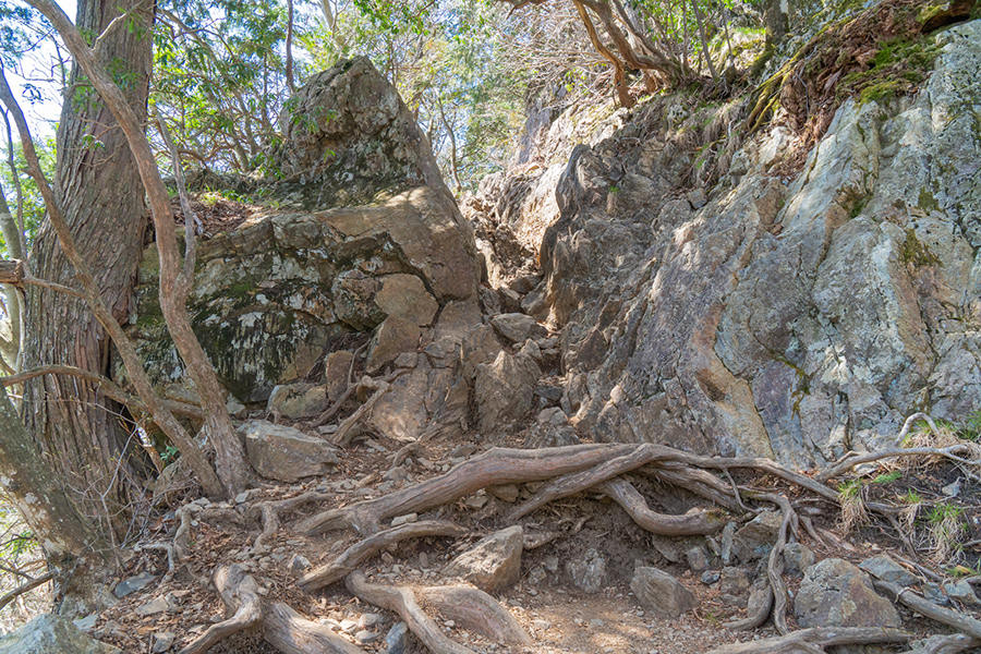 大岳神社手前から山頂にかけては岩場がある