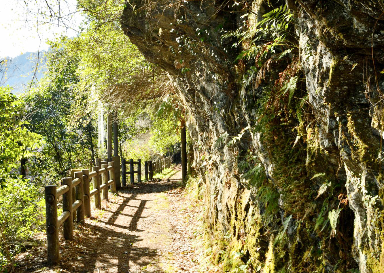 竜王峡遊歩道。高野山森林鉄道跡が遊歩道として整備されている