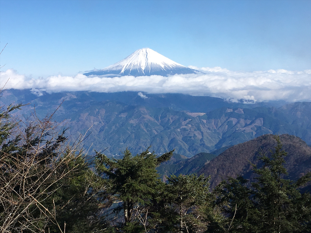 八紘嶺山頂部の肩から見た富士山