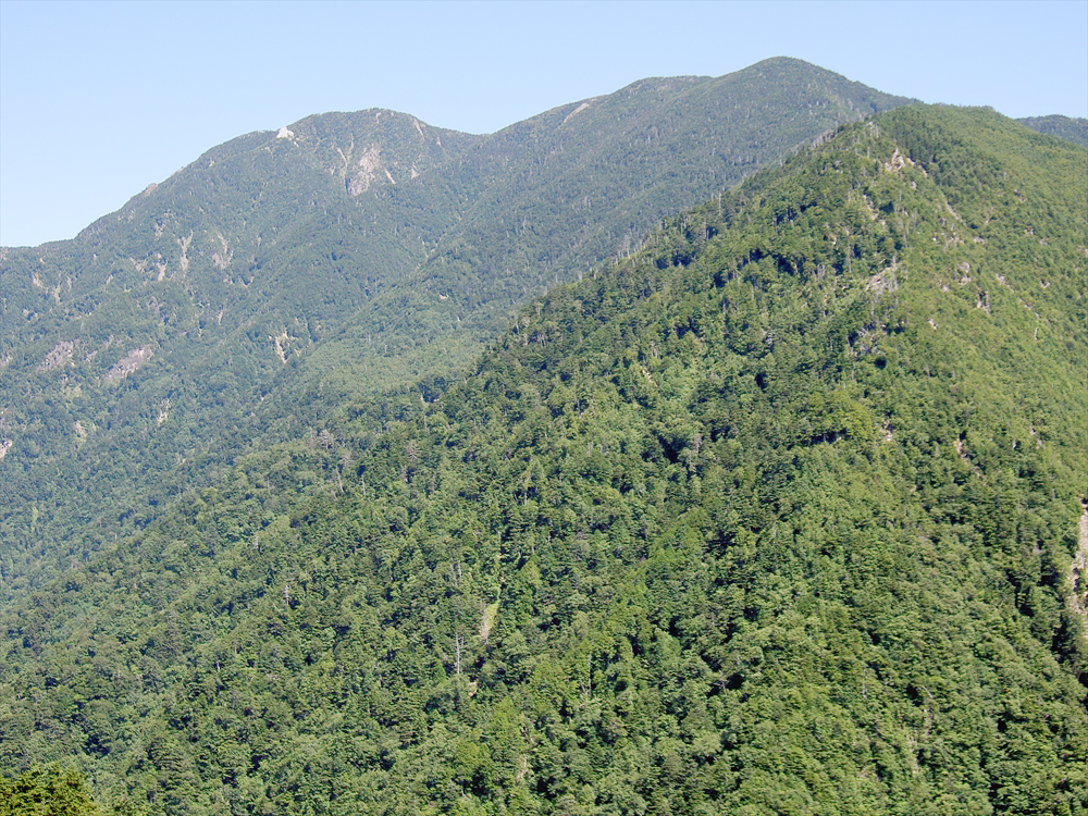 寸又川最奥の千頭山中腹の展望台から見た光岳（左）と百俣沢の頭（右）。光岳の南斜面は原生自然環境保全地域となっている
