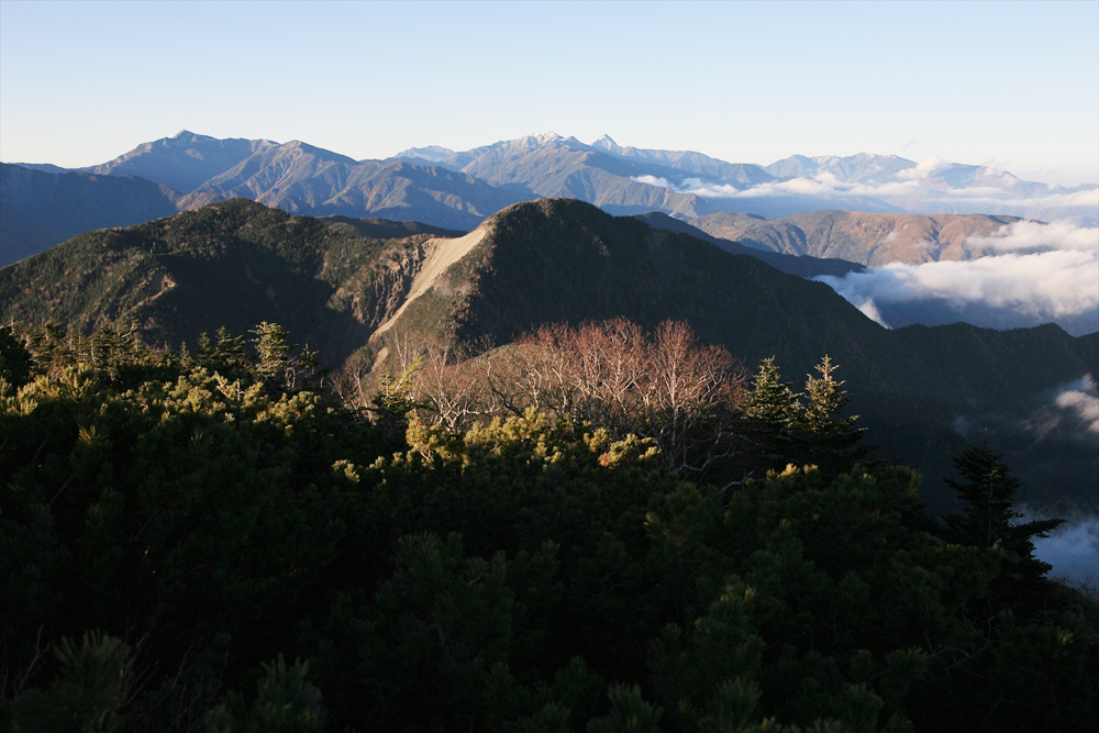 偃松尾山の奥に、重なった間ノ岳と農鳥岳、左奥に仙丈ヶ岳、右奥に三角形の北岳が見える。左の美しい三角形は塩見岳、右遠方は鳳凰山