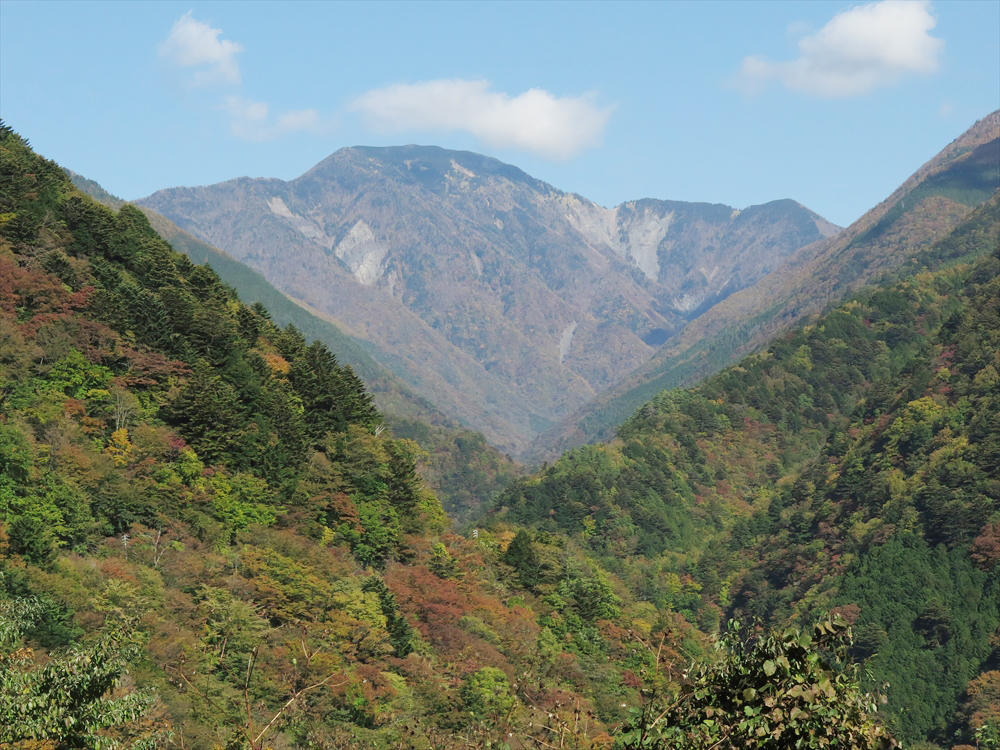 畑薙ダムへの林道から見上げた青薙山