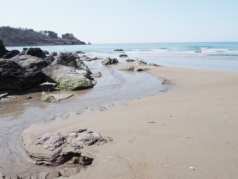 溶岩地帯の貴重な砂浜。湧水が海に流れこんでいる