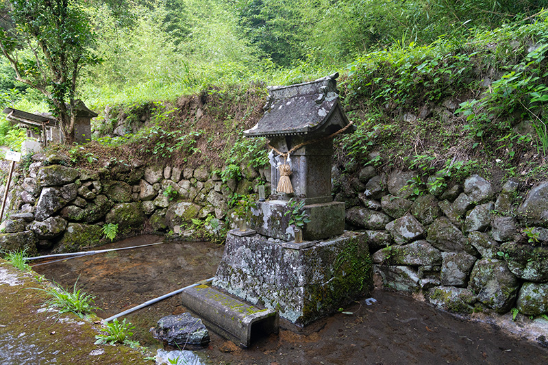 山田湧水の源泉