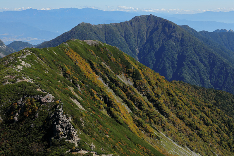 黄葉の小仙丈ヶ岳とアサヨ峰