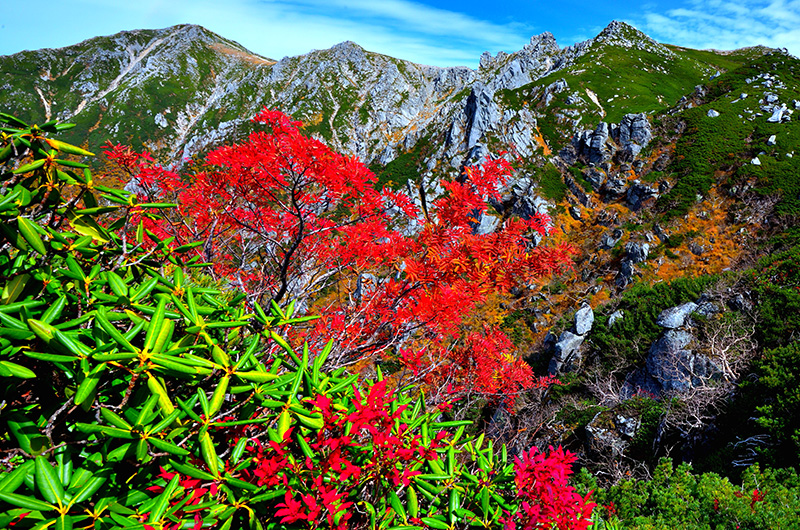 紅葉映える三ノ沢岳と木曽駒ヶ岳山群