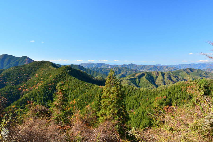 有田・龍神道の花折付近から龍門山脈(中央)方面を望む