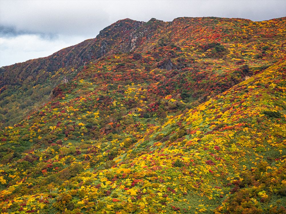 「神の絨毯」のごとき極彩色の紅葉の山並み