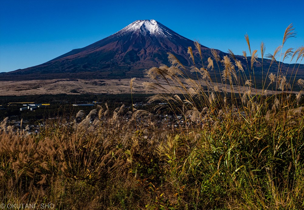 高座山への尾根道にでると富士山が姿を見せる
