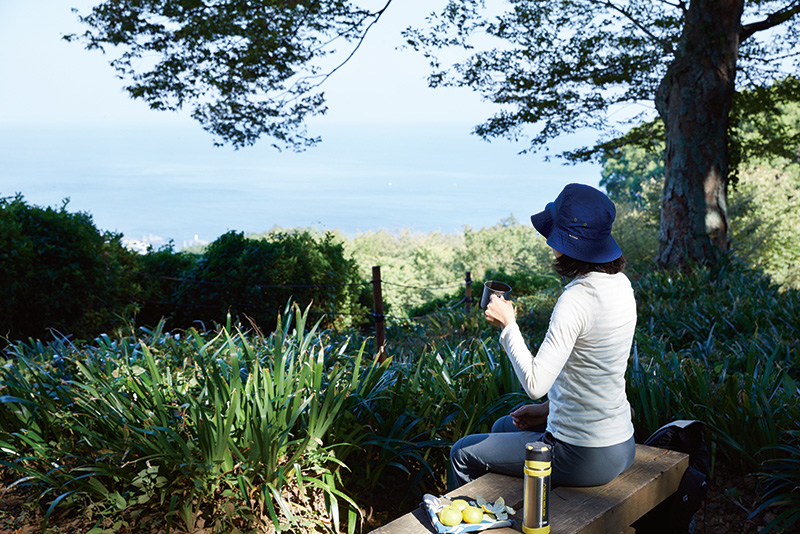 石垣山本丸跡周辺のベンチ。小田原の海を見ながら休憩