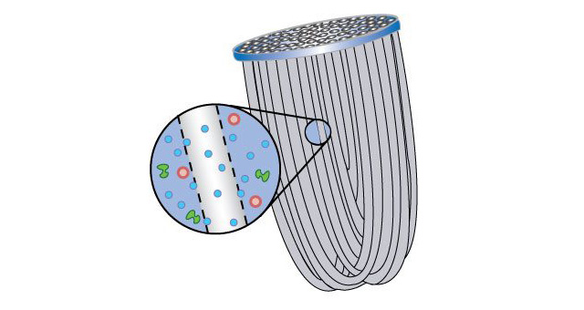 ソーヤーの中空糸膜のフィルターは大きさ0.1マイクロメートル（1mmの1/1000）の無数の孔をもつ