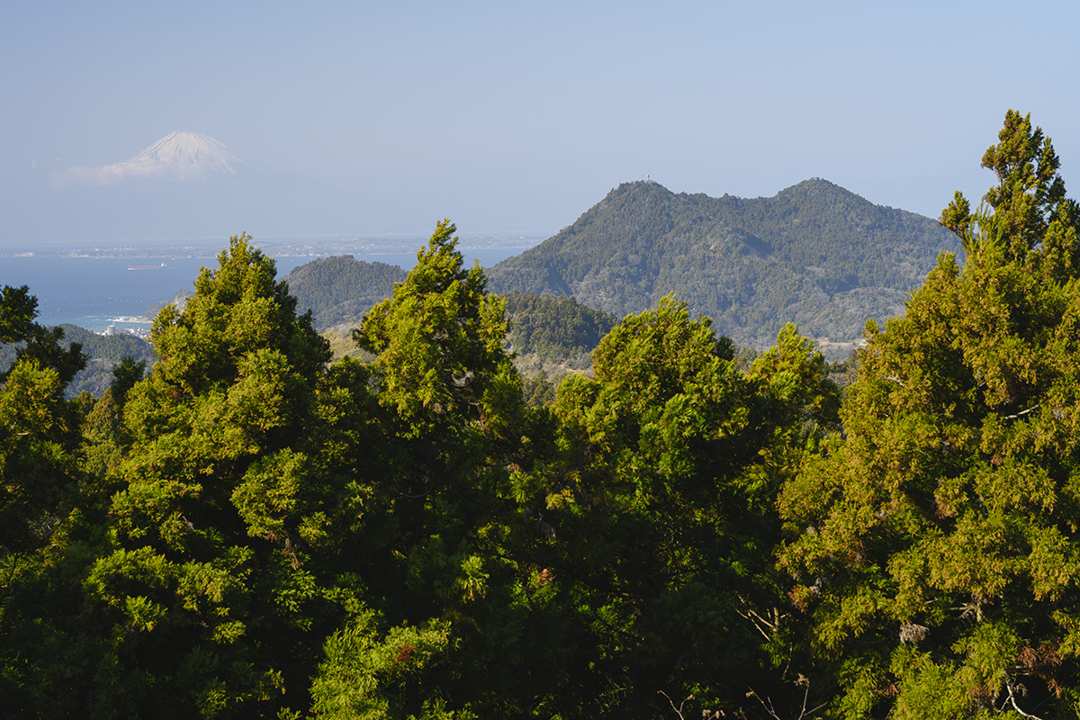 〉大日山山頂からの眺望。杉林越しに富山と富士山が見える
