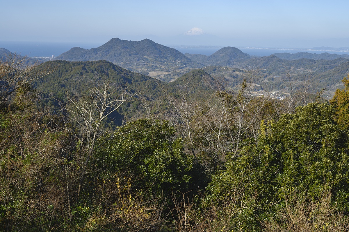 〉御殿山山頂からの眺望。岩井の街、東京湾、富山、富士山まで見える