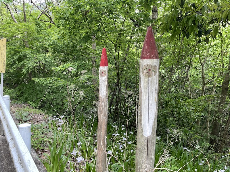 南沢あじさい山