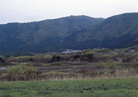 桑畑山